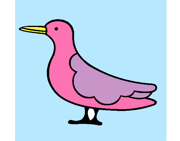 Pájaro 3