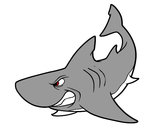 Dibujo Tiburón enfadado pintado por GEOVA