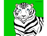 Dibujo Tigre 3 pintado por cynder1