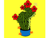 Dibujo Flores de cactus pintado por Opuntia