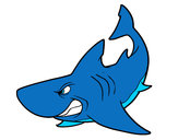 Dibujo Tiburón enfadado pintado por enriquez