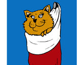 Dibujo Gato dentro de una calcetín pintado por charito