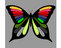 Dibujo de Mariposas para colorear