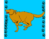 Dibujo Perro corriendo pintado por Valerita3