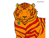 Dibujo Tigre 3 pintado por 3lC4r4qu3