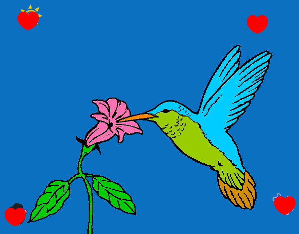 Colibrí y una flor