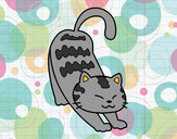 Dibujo Gato vago pintado por shinobu