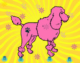 Dibujo Poodle pintado por renne 