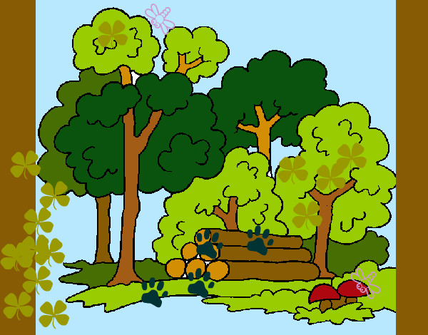 Dibujo Bosque 2 pintado por BONDIA