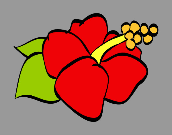 Dibujo Flor de lagunaria pintado por 001salmi