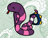 Dibujo Cobra con pandereta pintado por jovi37
