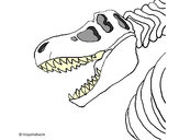 Dibujo Esqueleto tiranosaurio rex pintado por Bushiko