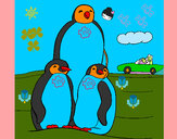 Dibujo Familia pingüino pintado por rafo2013