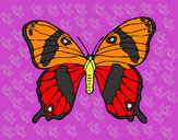 Dibujo Mariposa silvestre pintado por adricasa