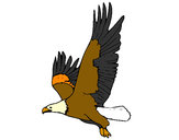 Dibujo Águila volando pintado por margax39