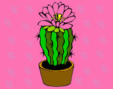 Dibujo Cactus con flor pintado por kean