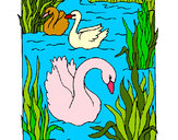 Dibujo Cisnes pintado por Valeriaco