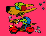 Dibujo Perro motorista pintado por florpared