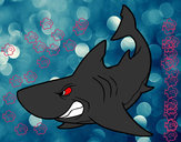 Dibujo Tiburón enfadado pintado por 01-12Jesus
