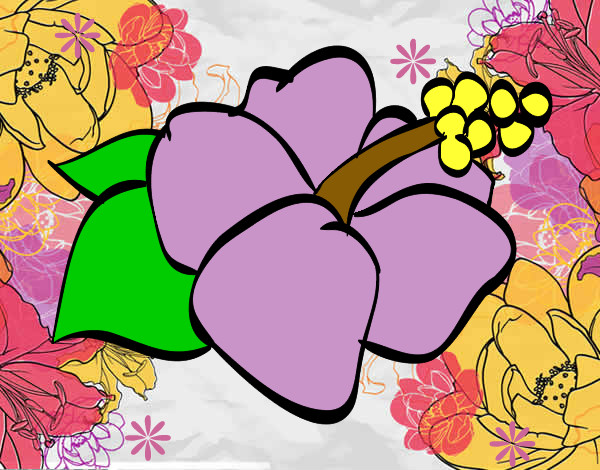 Dibujo Flor de lagunaria pintado por brillanty