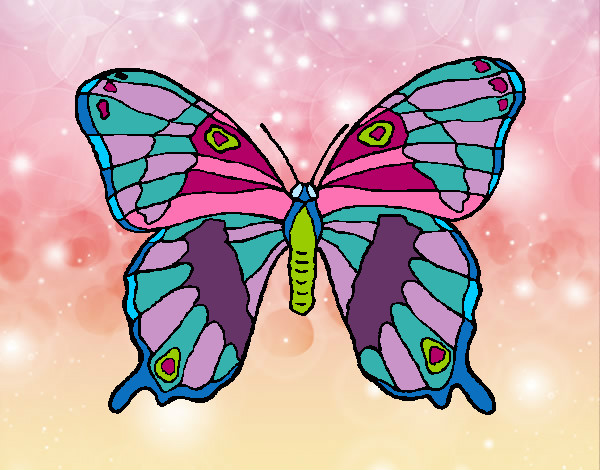 Dibujo Mariposa silvestre pintado por BIANCA10