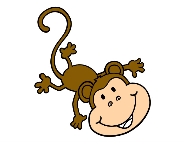 Mono gracioso