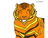 Dibujo Tigre 3 pintado por davidj