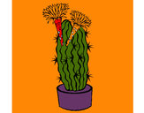 Dibujo Cactus con flores pintado por kittylove