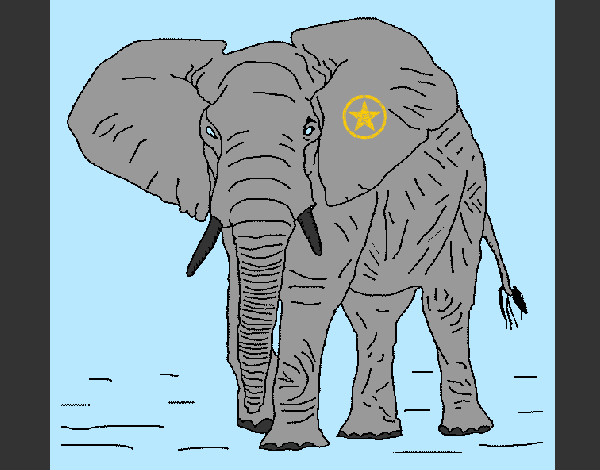 Dibujo Elefante 1 pintado por emily-01