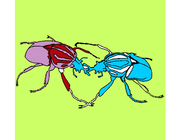 Dibujo Escarabajos pintado por LuzValenti