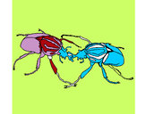 Dibujo Escarabajos pintado por LuzValenti
