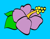 Dibujo Flor de lagunaria pintado por tomoko