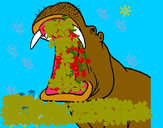 Dibujo Hipopótamo con la boca abierta pintado por cristhoper
