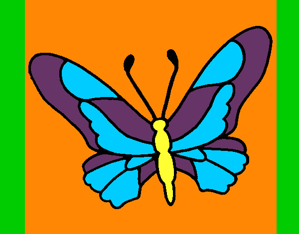 Mariposa 6a