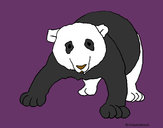 Dibujo Oso panda 1 pintado por SinaiV