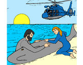 Dibujo Rescate ballena pintado por elove
