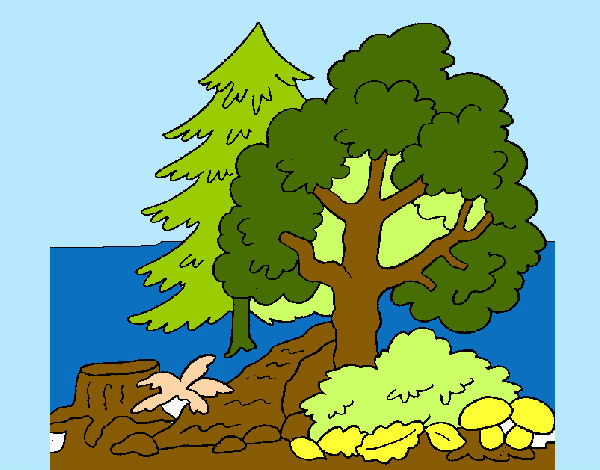 Dibujo Bosque 1 pintado por azalia 