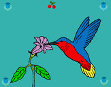 Dibujo Colibrí y una flor pintado por Horsyta