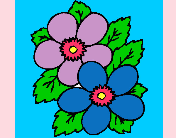 Flores 1