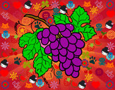 Dibujo Racimo de uvas pintado por paola123