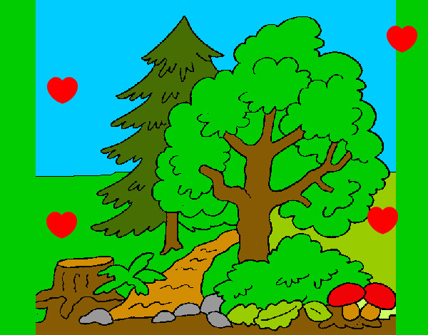 Dibujo Bosque 1 pintado por guiliana