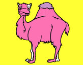 Dibujo Camello aburrido pintado por vero_1D