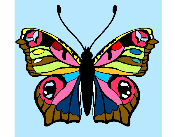 Dibujo Mariposa 20 pintado por azalia 