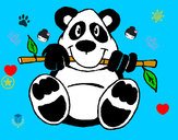 Dibujo Oso panda pintado por maria07