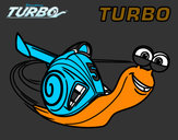 Dibujo Turbo pintado por HERMOGENES