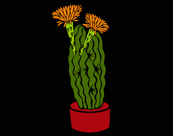 Cactus con flores