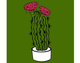 Dibujo Cactus con flores pintado por _marisol_8