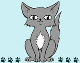 Dibujo Gato persa pintado por alicia33