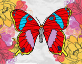 Dibujo Mariposa silvestre pintado por kittylove