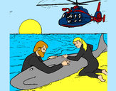 Dibujo Rescate ballena pintado por kittylove
